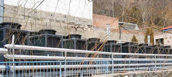 �՚�Դ��ˮ�������P(gu��n)֪�R(sh��)����Щ��